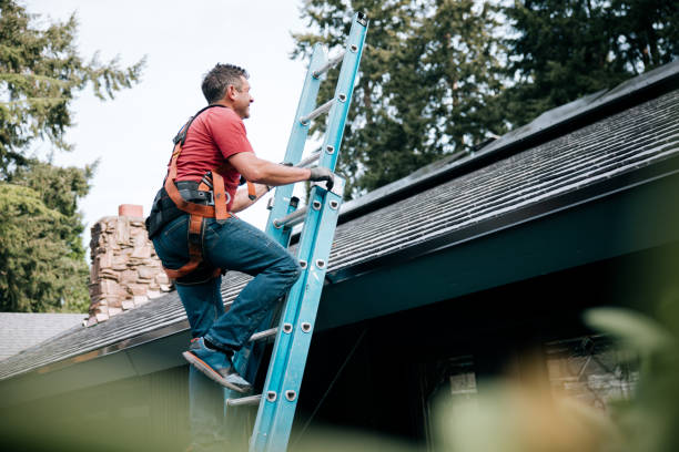 Best Roof Maintenance and Cleaning  in Mars Hill, NC